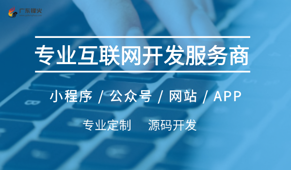專業互聯網軟件系統開發服務商