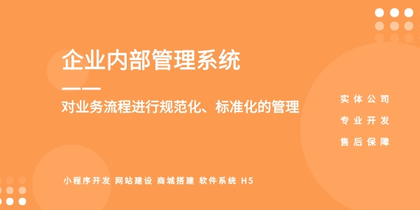 企業(yè)內部管理系統(tǒng)開發(fā)